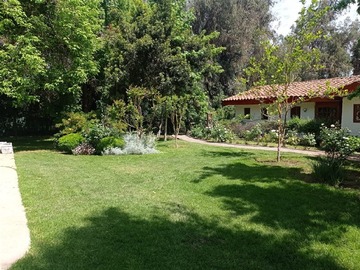 Imagen 25