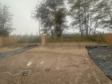 Imagen 20