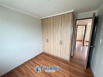 Imagen 7