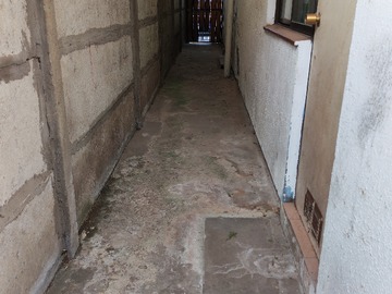 Imagen 5