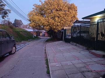 Imagen 21