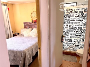 Imagen 7