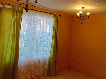 Imagen 6