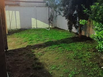 Imagen 11