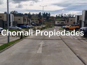 Imagen 19