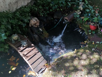 Imagen 22