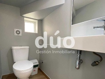 Imagen 15