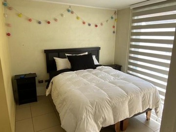 Imagen 13