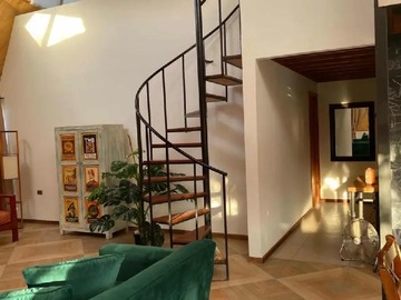 Imagen 24