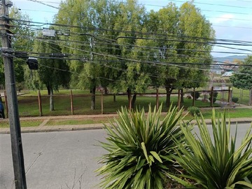 Imagen 11