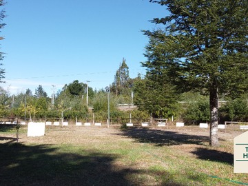 Imagen 6