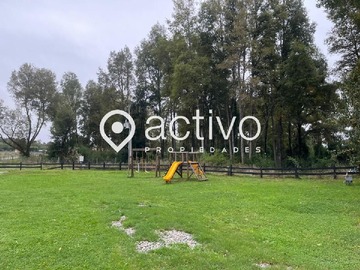 Imagen 8