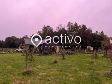 Imagen 10