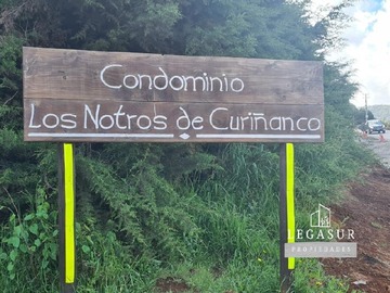 Imagen 10