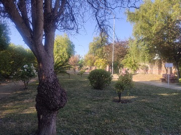 Parque