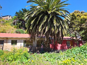 Arriendo Mensual / Casa / Valparaíso