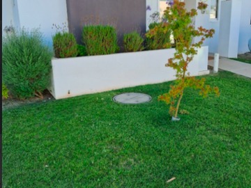 Imagen 13