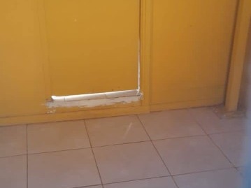 Imagen 8