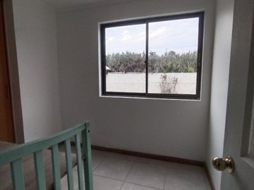 Imagen 20