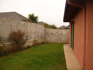 Imagen 5