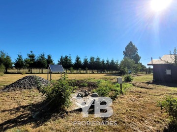 Imagen 13