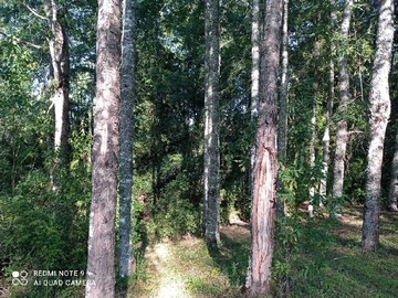 Arriendo Mensual / Casa / Villarrica