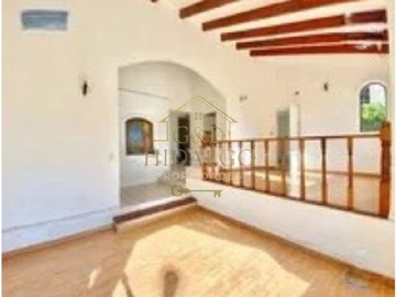 Imagen 6