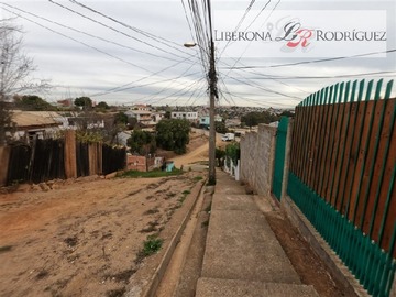 Imagen 11