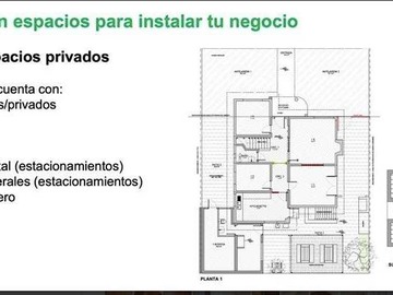 Imagen 19