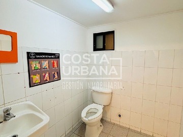 Imagen 20