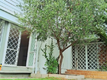 Arriendo Mensual / Casa / Viña del Mar