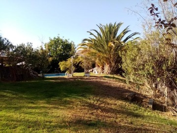 Imagen 10