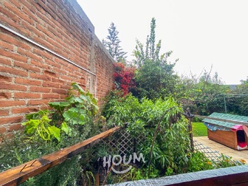 Imagen 7