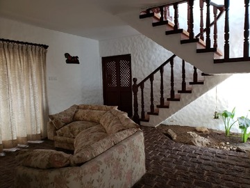 Imagen 20