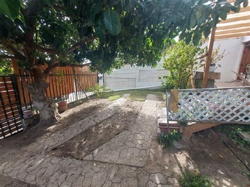 Imagen 19