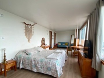 Imagen 11