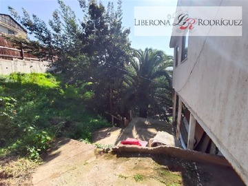 Imagen 10