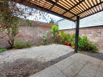 Imagen 20