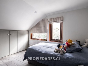 Imagen 5