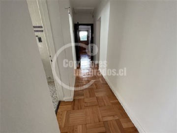 Imagen 19