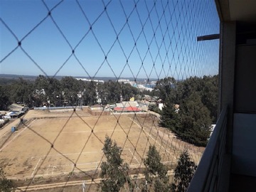 Imagen 11