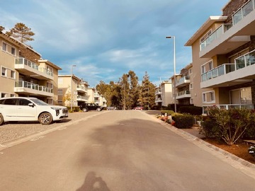 Arriendo Mensual / Departamento / Algarrobo