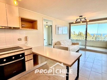 Arriendo Mensual / Departamento / Algarrobo