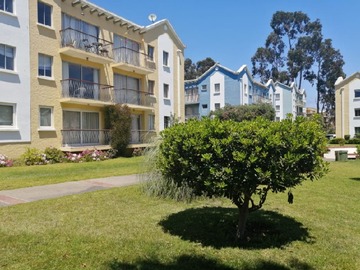 Arriendo Mensual / Departamento / Algarrobo