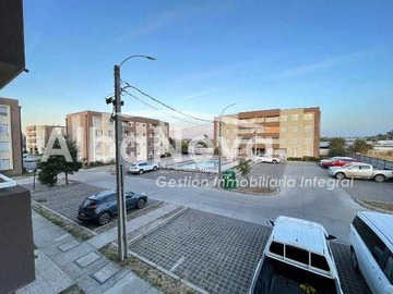 Imagen 11