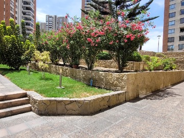 Imagen 12