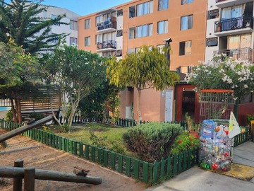Imagen 10