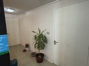 Imagen 11