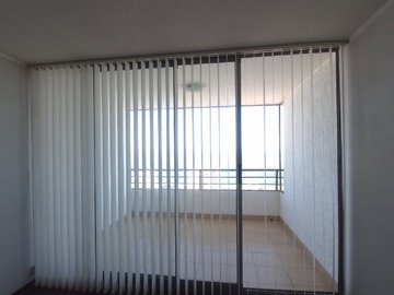 Imagen 11
