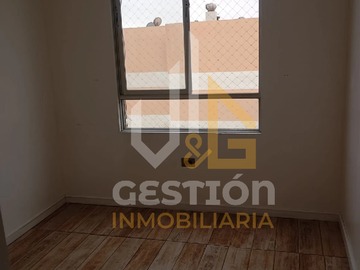 Imagen 8